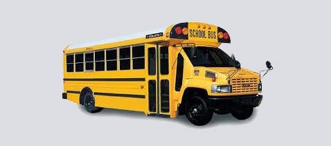 Type C school bus